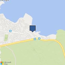 Bing Map