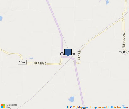 Celeste Tx City Report Stats Information Homefacts
