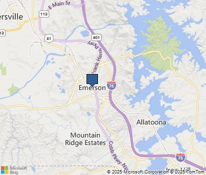 Emerson Ga City Report Stats Information Homefacts