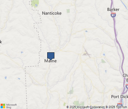 Maine Ny City Report Stats Information Homefacts