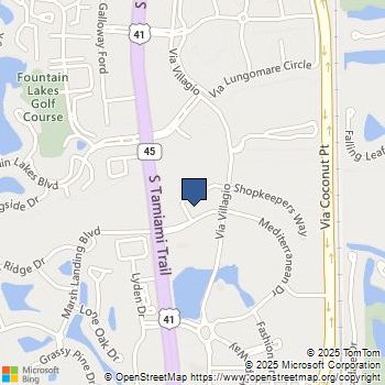 What stores are shown on a map of the Coconut Point Mall? - mccnsulting