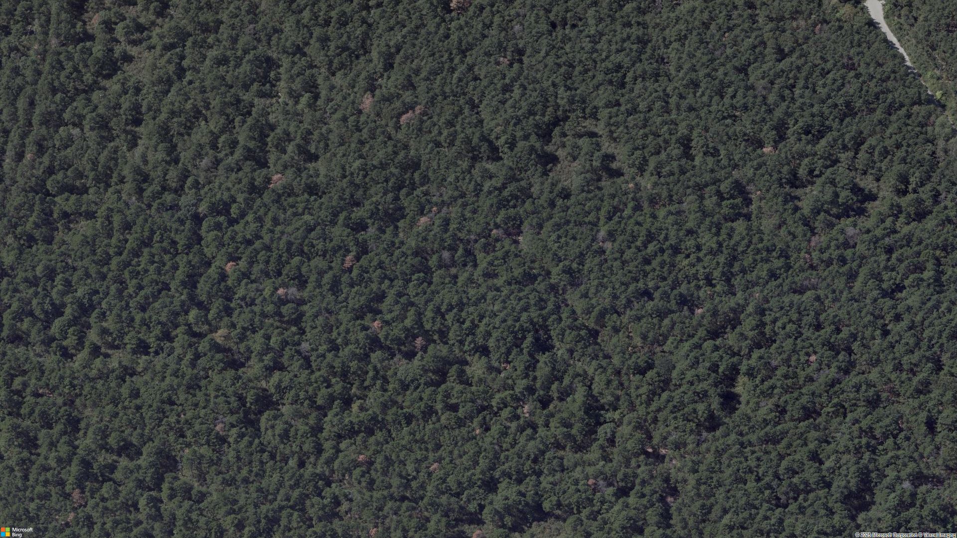 Overhead image of Wheatley Heights, NY.