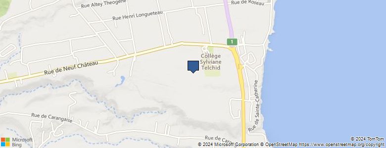 Localisation de Collège Collège Sylviane Telchid - Cliquez pour voir l'itinéraire