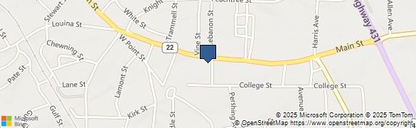 Wells Fargo Bank At 607 Main St In Roanoke Al 36274