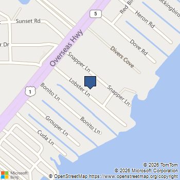 919 Lobster Ln 0 Key Largo, FL MLS# A11976471