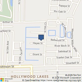 1155 Hayes St Hollywood, FL MLS# A12022315