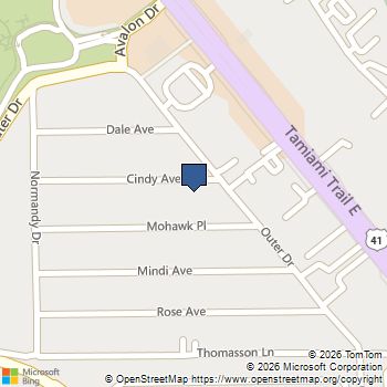 4210 Cindy Naples, FL MLS# A12030875