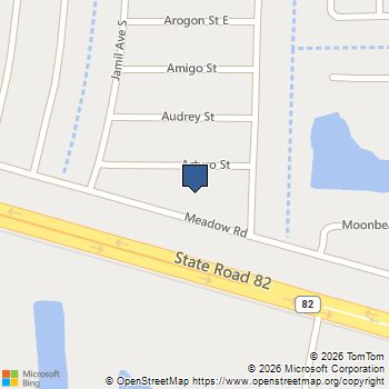 870 Arturo Street E Lehigh Acres, FL MLS# 2025006071