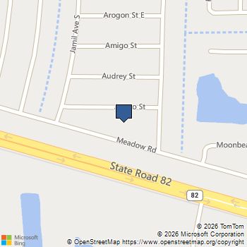 870 Arturo Street E Lehigh Acres, FL MLS# 2025006071