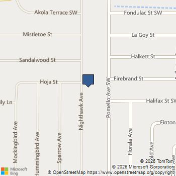 3201 Nighthawk Avenue SW Palm Bay, FL MLS# B26091217