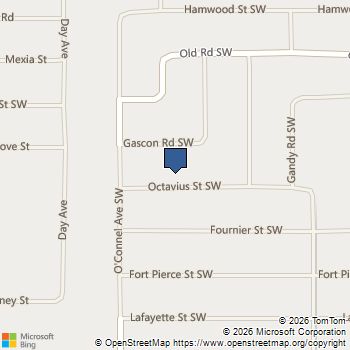 571 Octavius Road SW Palm Bay, FL MLS# B26009871