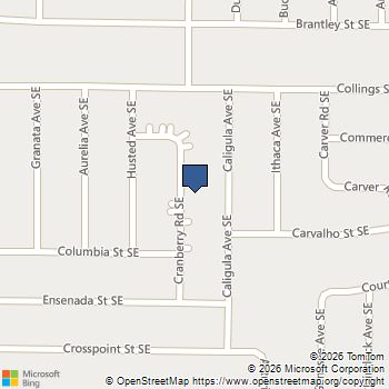 1001 Cranberry Road SE Palm Bay, FL MLS# A11968956