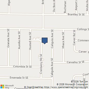 971 Cranberry Rd SE Palm Bay, FL MLS# A11969338