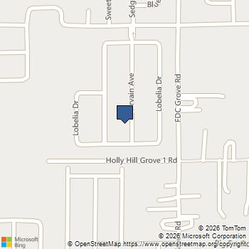257 VERVAIN AVENUE Davenport, FL MLS# S5153027
