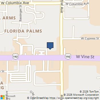 429 429 WEST VINE STREET Kissimmee, FL MLS# A12004784