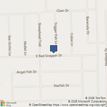 o Trigger Fish Palacios, TX MLS# 78767085
