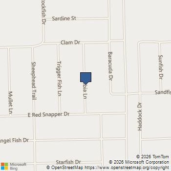 Lot 190 Cobia Lane Palacios, TX MLS# 68562369