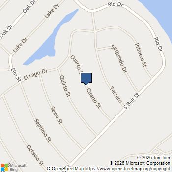 0 Cuarto Brazoria, TX MLS# 69800154