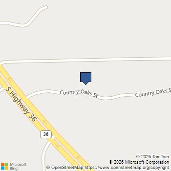 133 Country Oaks Street Brazoria, TX MLS# 69416083