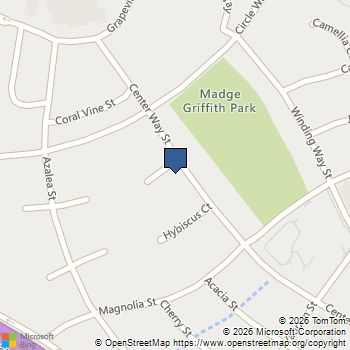 58 Lantana Court Lake Jackson, TX MLS# 98765192