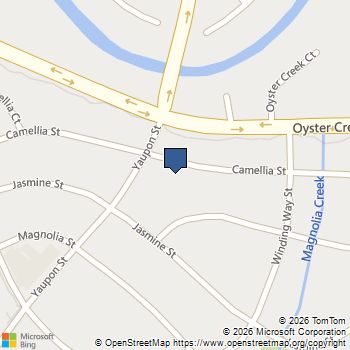 206 Camellia Street Lake Jackson, TX MLS# 51989008