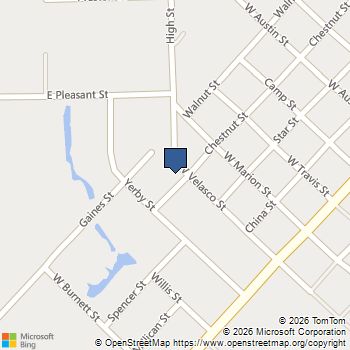 405 Velasco Street Brazoria, TX MLS# 40466002