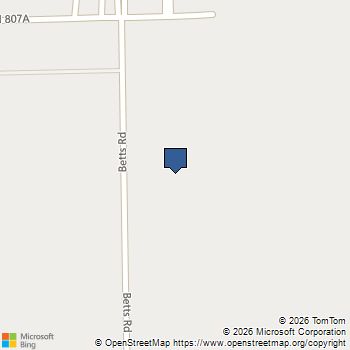 3010 Betts Road Angleton, TX MLS# 68667661