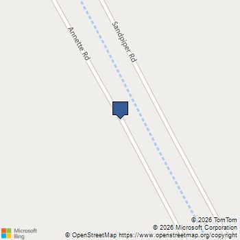 174236 Annette Road Angleton, TX MLS# 50866355