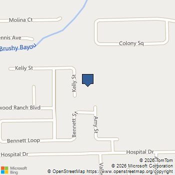 216 Amy Street Angleton, TX MLS# 13426208