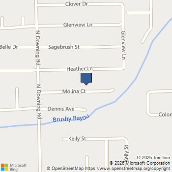 1301 Molina Court Angleton, TX MLS# 7670860
