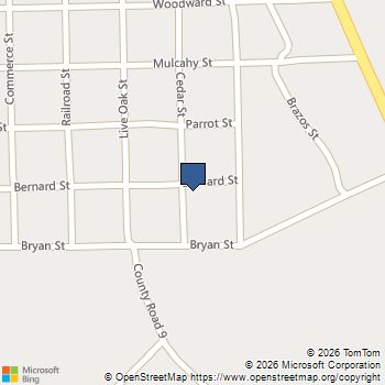 3811 Cedar Street Damon, TX MLS# 35806869