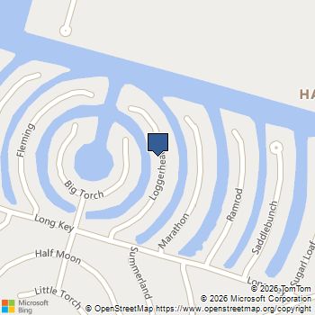 14 Loggerhead Hitchcock, TX MLS# 18468967