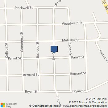 3704 Boone Damon, TX MLS# 38898574