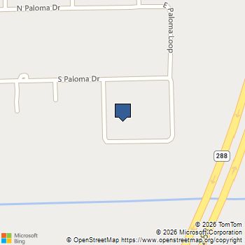 20127 W Paloma Loop Rosharon, TX MLS# 87081773