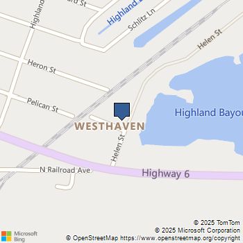 4406 Helen Street Hitchcock, TX MLS# 22213056