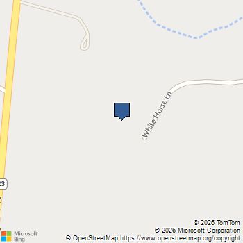 133 White Horse Ln Stockdale, TX MLS# 2021046