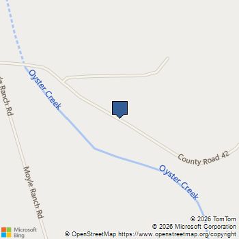 TBD County Road 42 Rosharon, TX MLS# 70529638