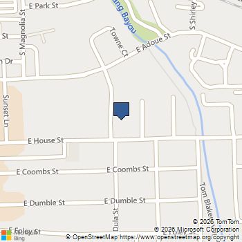 619 Dula Street Alvin, TX MLS# 4823959