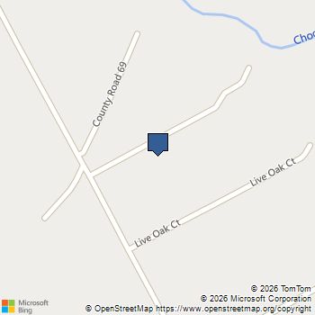 10003 Hanselman Road Manvel, TX MLS# 98470653