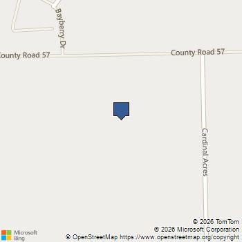 9030 Shady Cabana Way Iowa Colony, TX MLS# 62914776