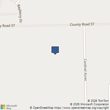 1507 Shimmering Ocean Way Iowa Colony, TX MLS# 3124158