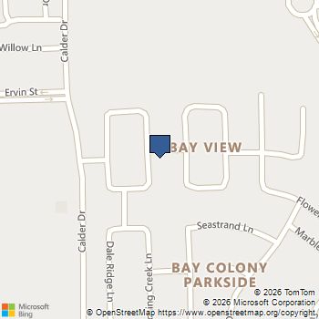 217 Brookwood Park Lane Dickinson, TX MLS# 32659920