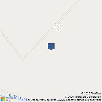 9919 Bohacek Road Beasley, TX MLS# 69874198