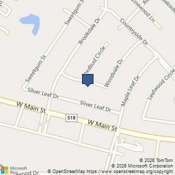 6209 Woodvale Drive League City, TX MLS# 74343807