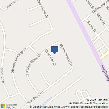 3005 Coral Rae Court League City, TX MLS# 17954039