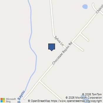 5302 Old Chocolate Bayou Road CR89 Manvel, TX MLS# 21892727