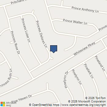 37 Princess Dolores Lane Palm Coast, FL MLS# 406542