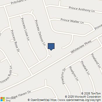 37 Princess Dolores Lane Palm Coast, FL MLS# 406542