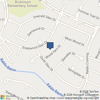 1115 Wood Fern Drive Sugar Land, TX MLS# 17320993