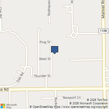 2993 Byng Street Pearland, TX MLS# 36328198